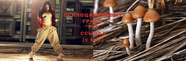 твердый Алексеевка