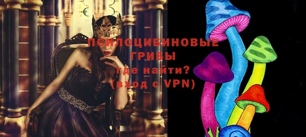 твердый Алексеевка