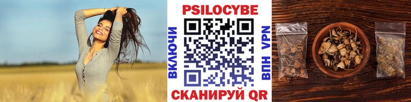 Галлюциногенные грибы Psilocybe  купить закладку  Грайворон 